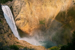 Lower Falls, Yellowstone National Park