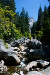 Yosemite National Park