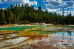 Yellowstone National Park